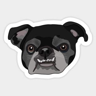 Black Pug Sticker